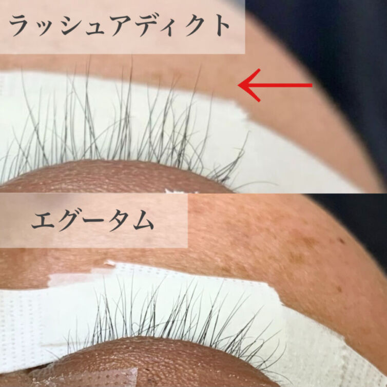 Processed with MOLDIV