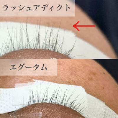 Processed with MOLDIV